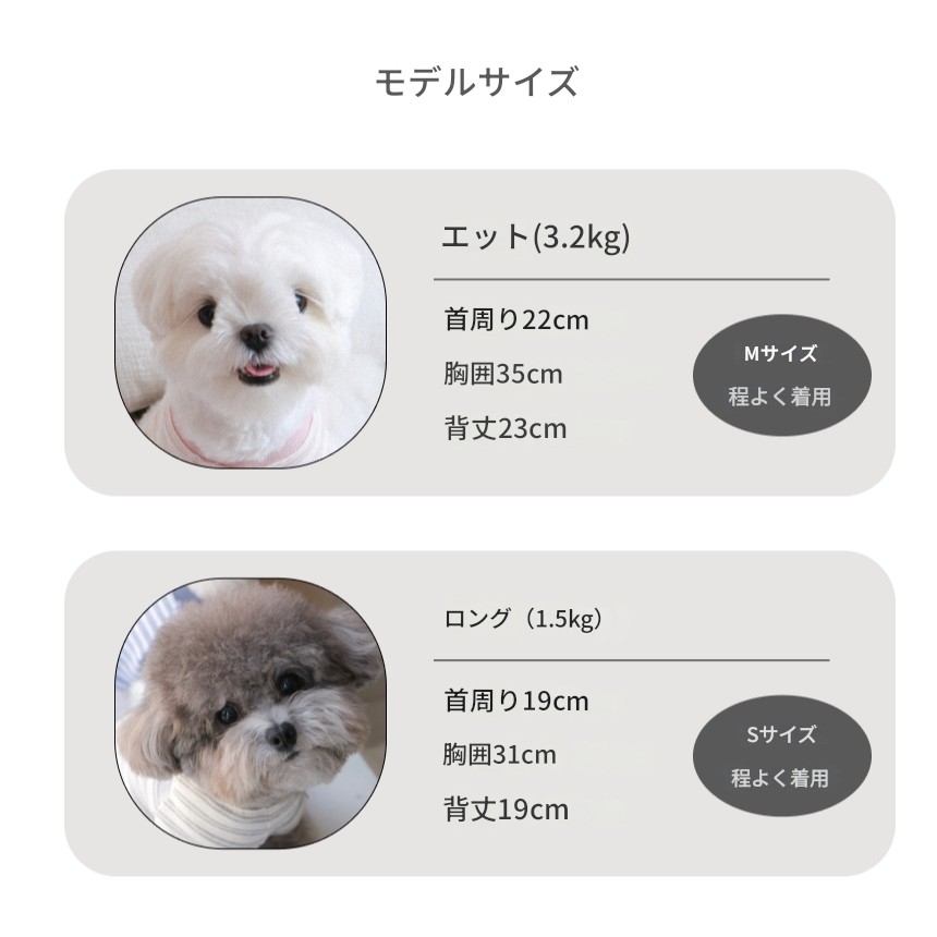 【一部即納】ノートストライプTシャツ