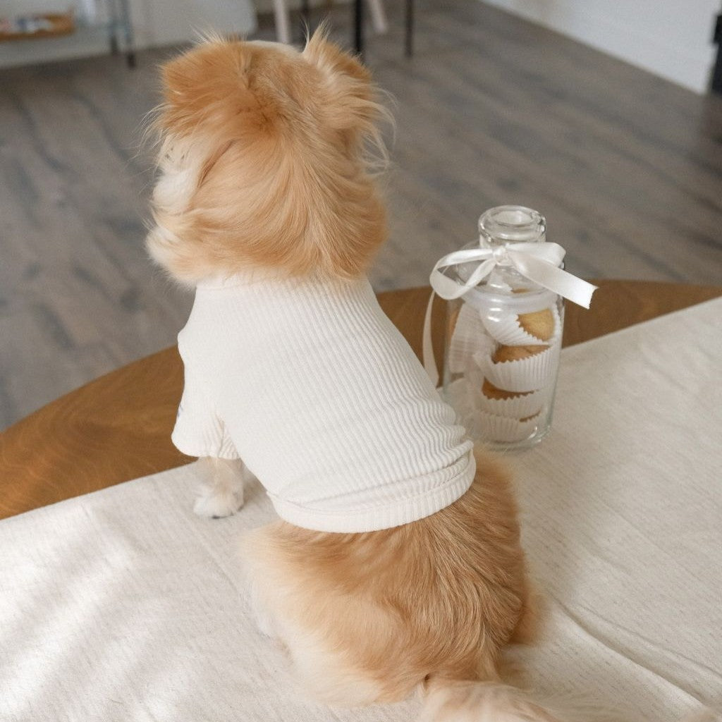 【予約】Ribbed Color Top