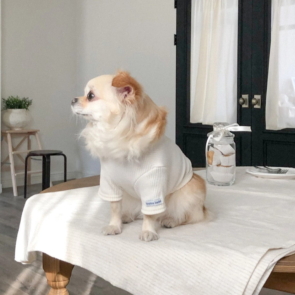 【予約】Ribbed Color Top