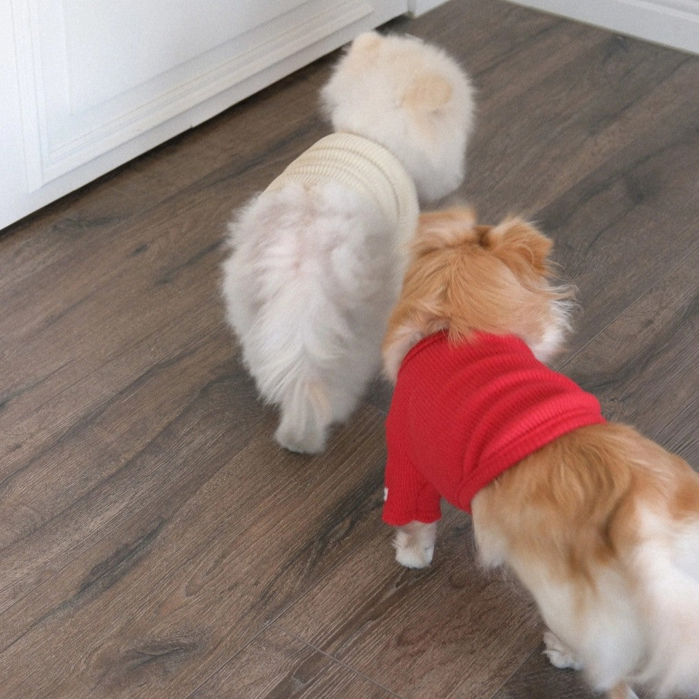 【予約】Ribbed Color Top