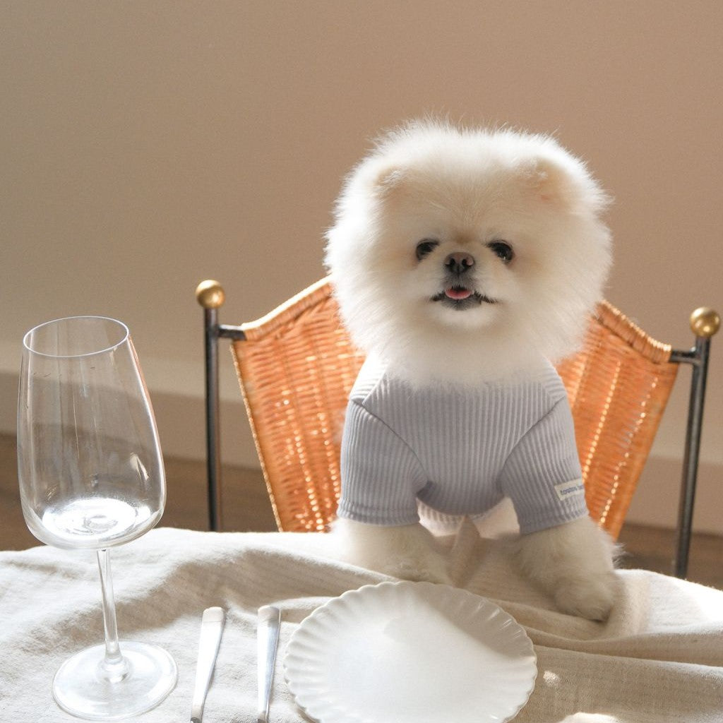 【予約】Ribbed Color Top