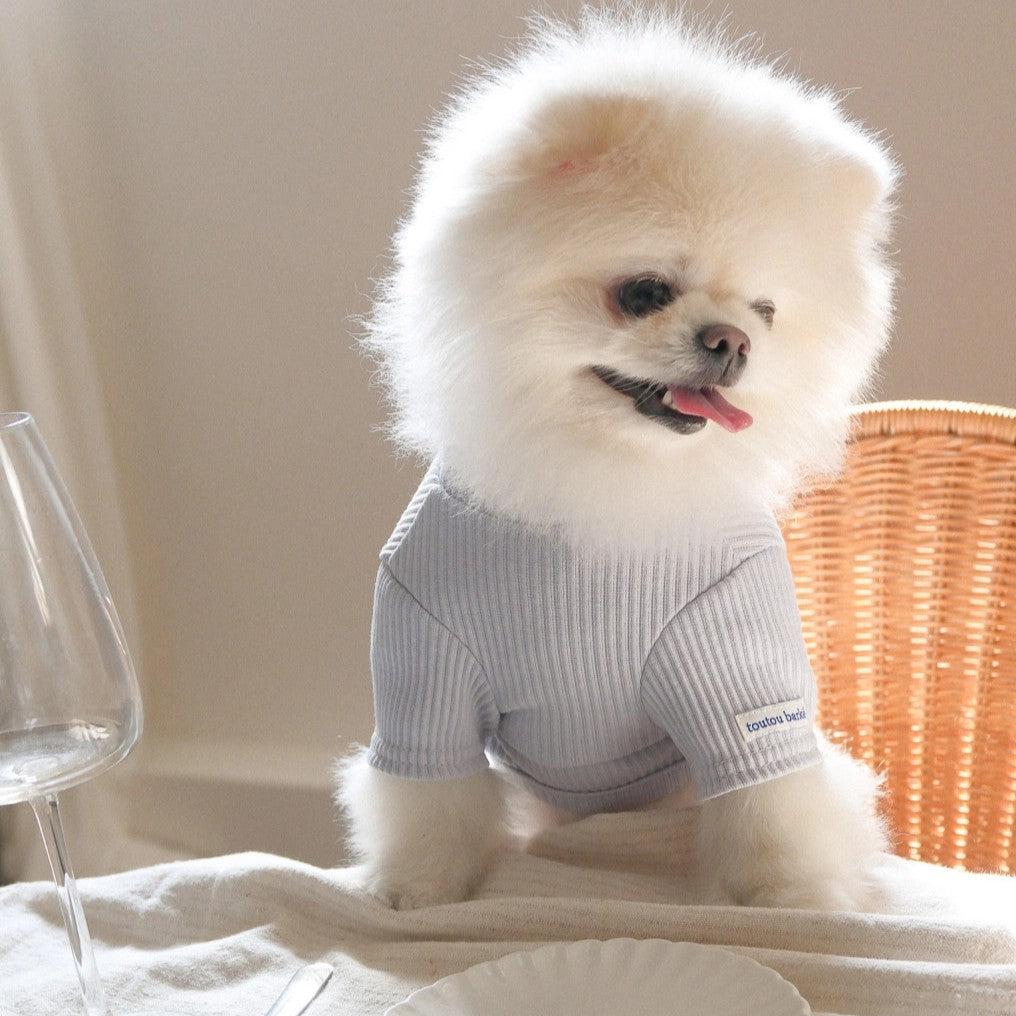 【予約】Ribbed Color Top