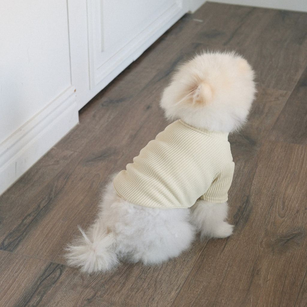 【予約】Ribbed Color Top