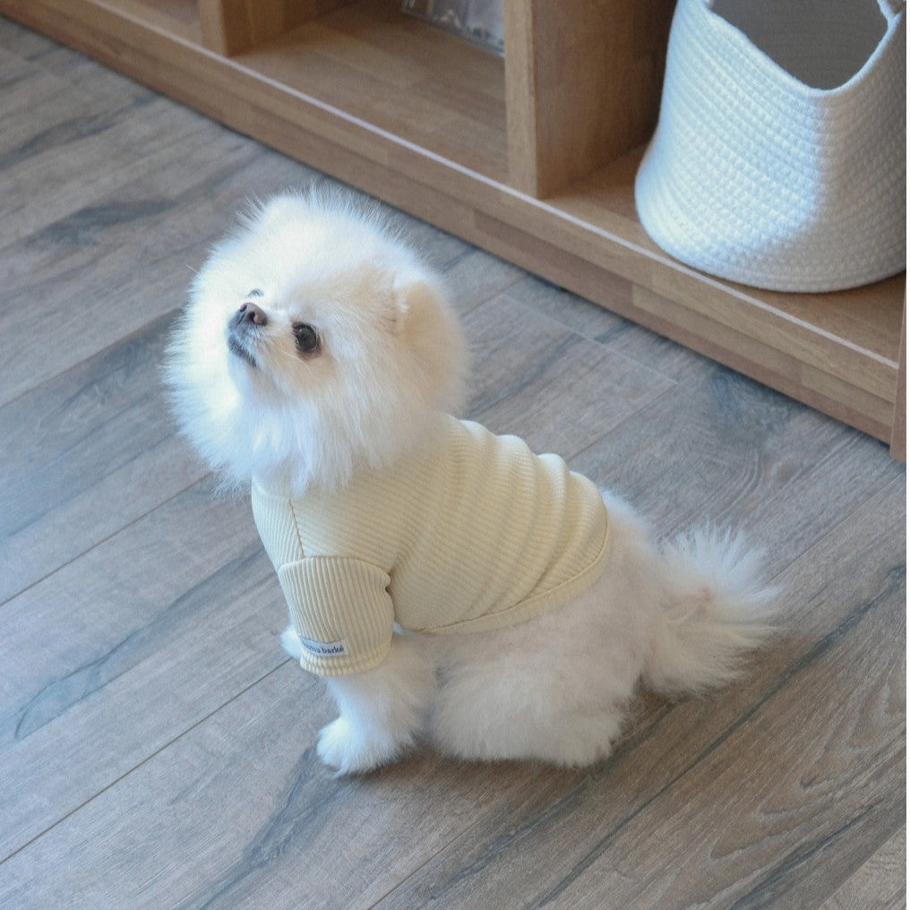 【予約】Ribbed Color Top