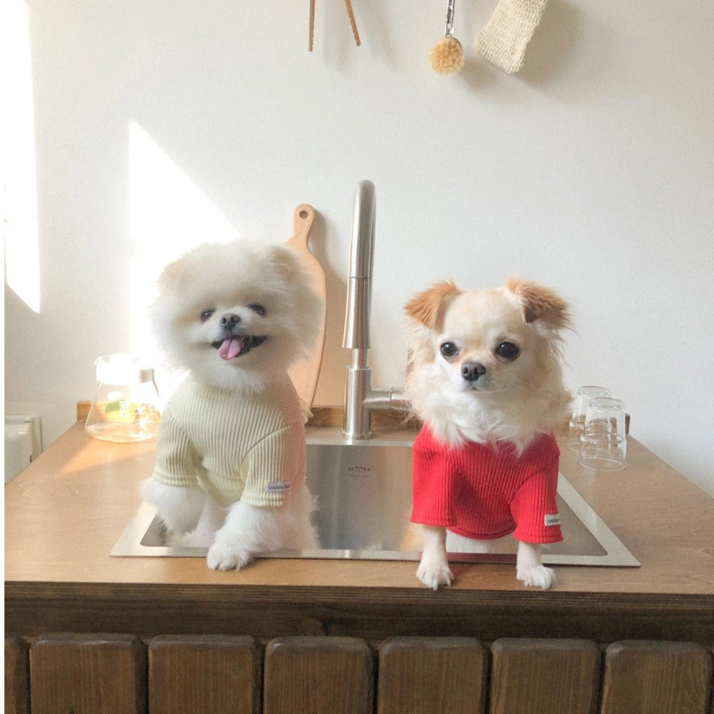 【予約】Ribbed Color Top