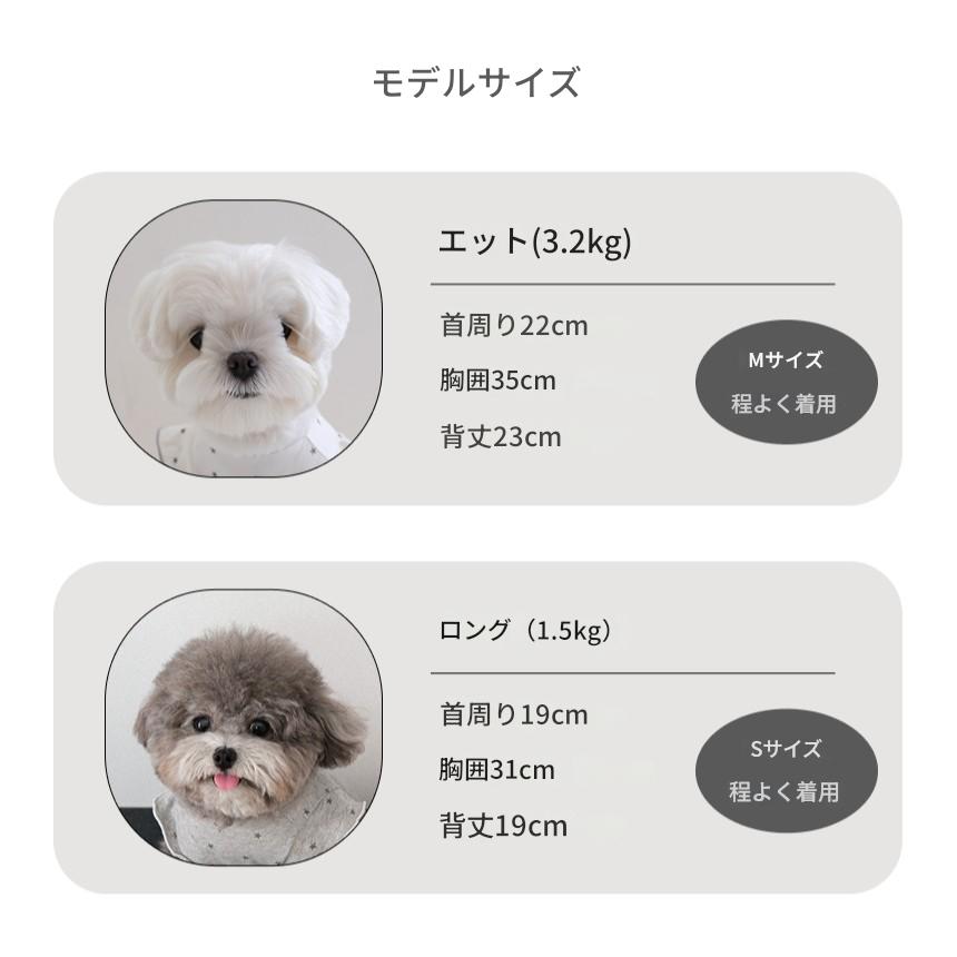 【予約】ステラTシャツ