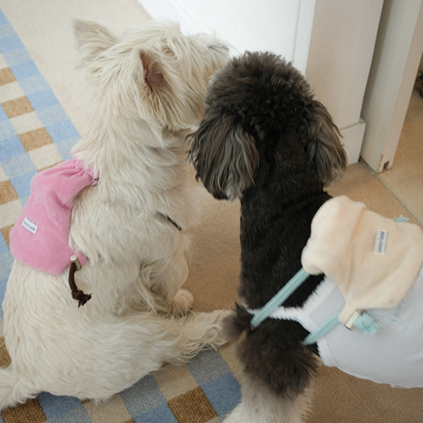 【予約】Terry String Bag (For Pets)