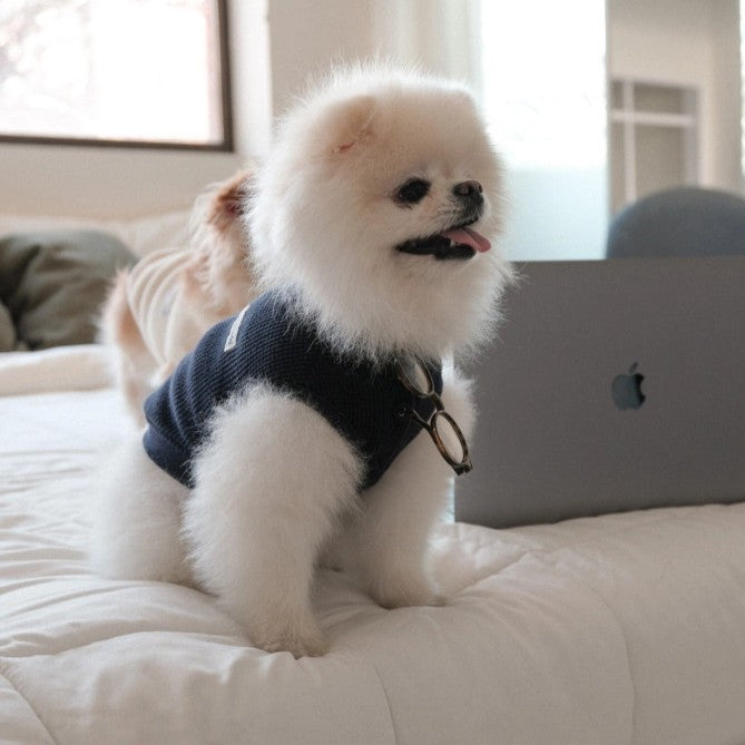 【予約】Waffle Henley Neck