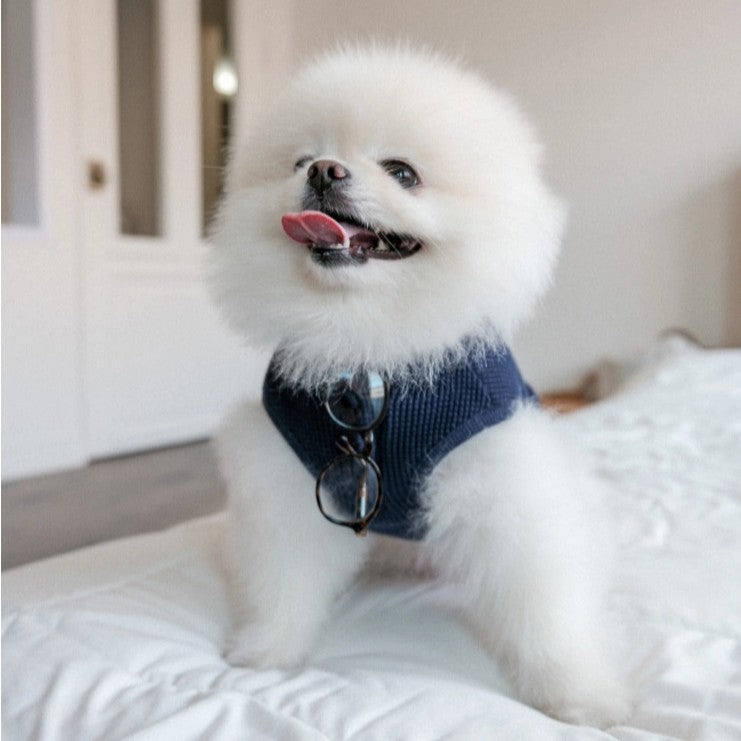 【予約】Waffle Henley Neck