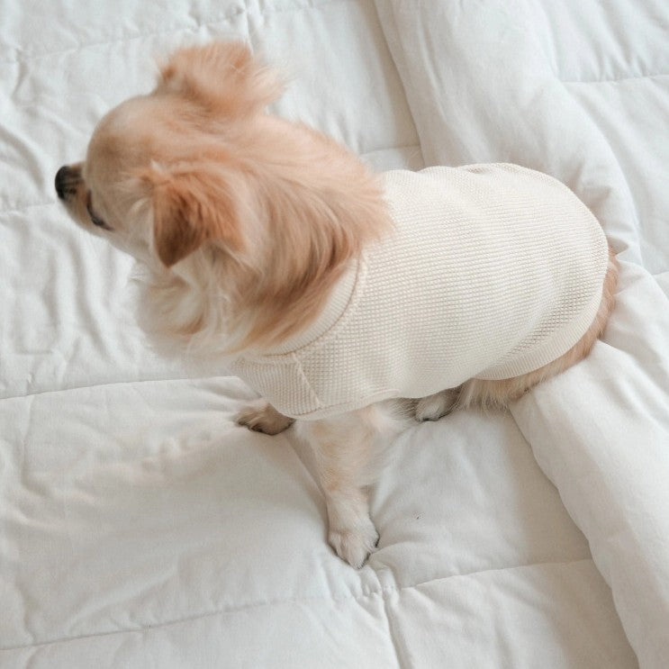 【予約】Waffle Henley Neck