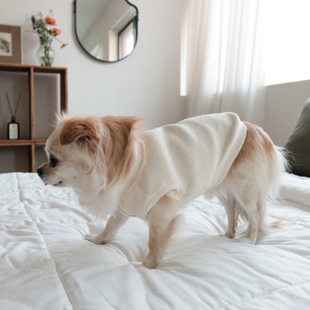 【予約】Waffle Henley Neck