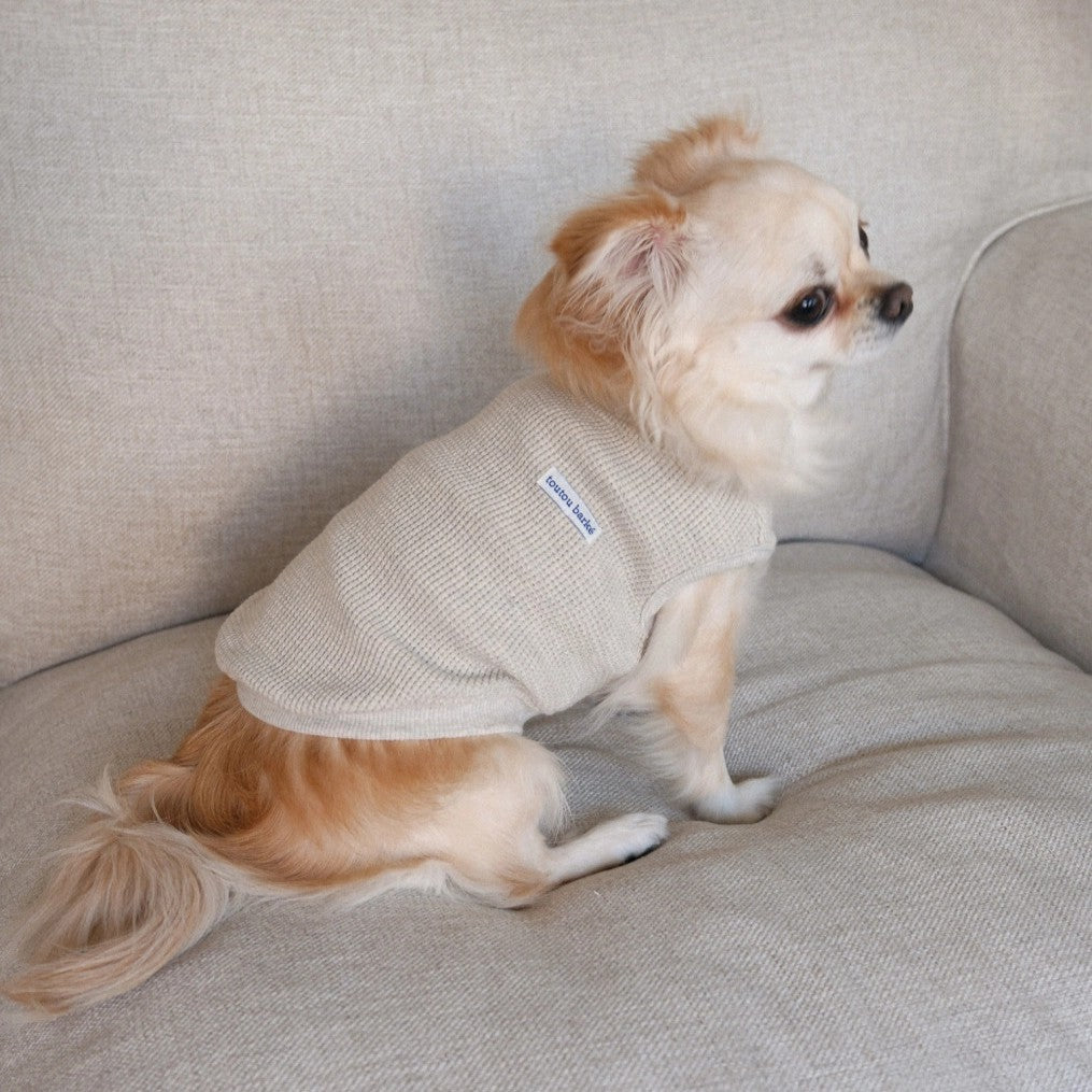 【予約】Waffle Henley Neck