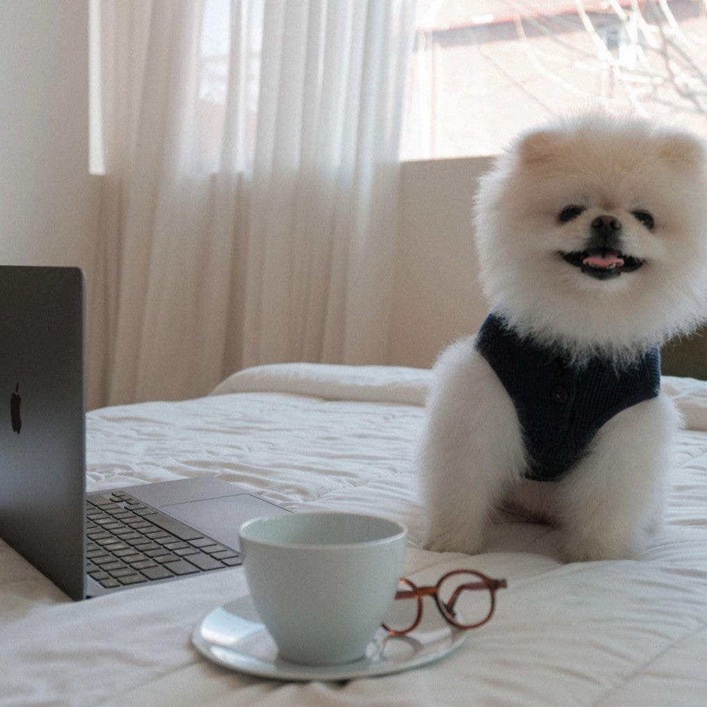 【予約】Waffle Henley Neck