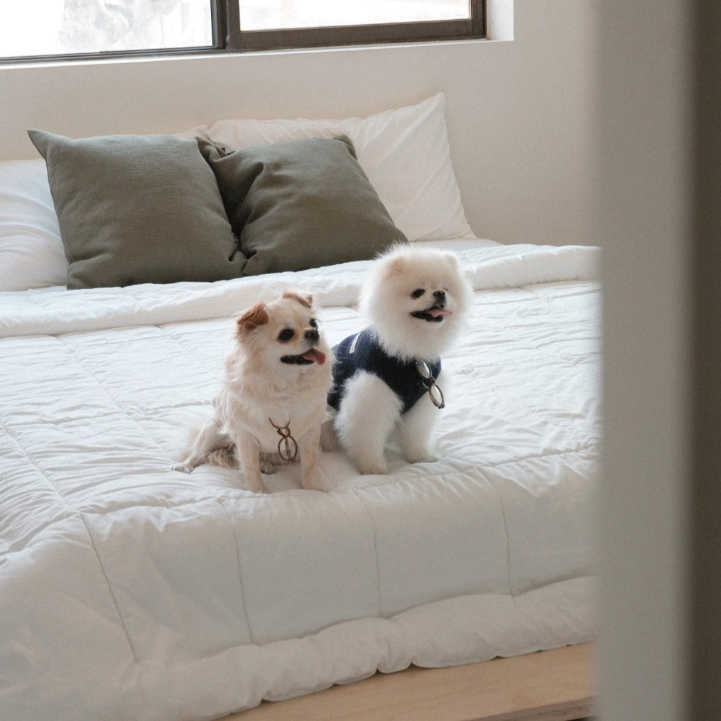 【予約】Waffle Henley Neck