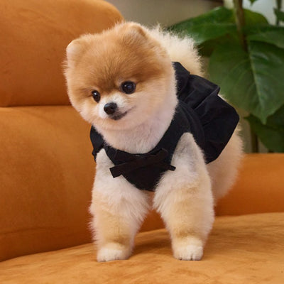 【予約】バルーンスカート