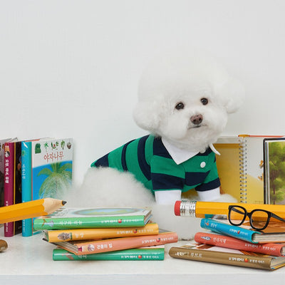 【予約】ストライプ柄ポロシャツ