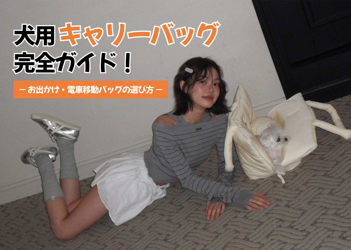 犬用キャリーバッグ完全ガイド！お出かけ・電車移動・スリングバッグの選び方