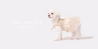 PawSelect（パウセレクト）公式サイトがオープンしました