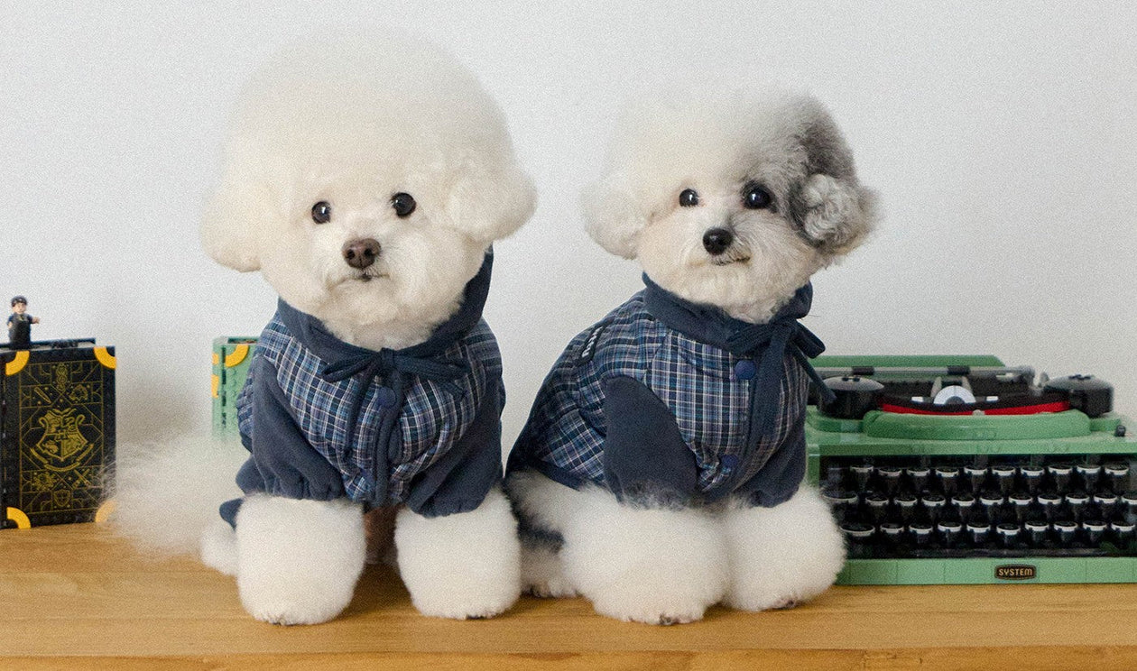 WITH TORY｜韓国発の高品質な犬服ブランド