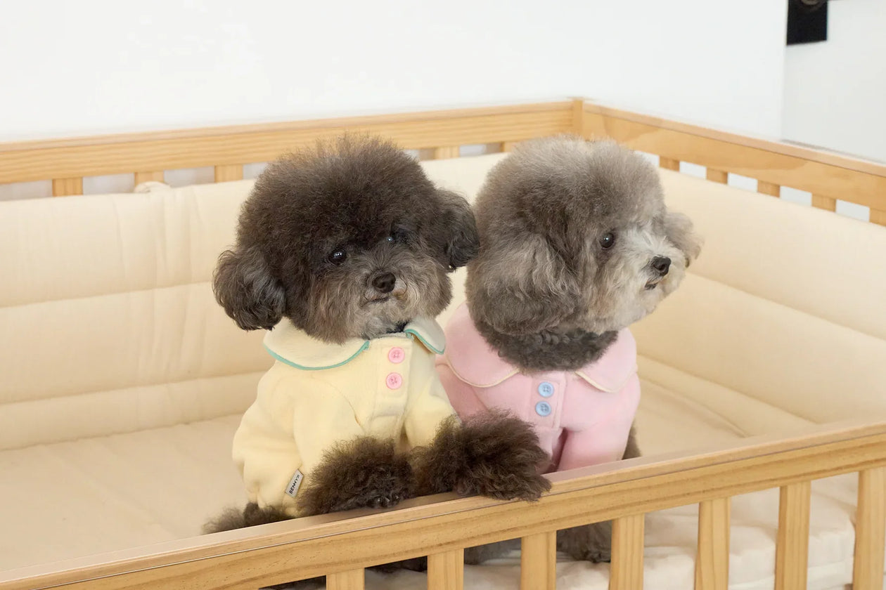 BENNYS（ベニーズ）｜愛らしいデザインと機能性を兼ね備えた韓国発ペットブランド