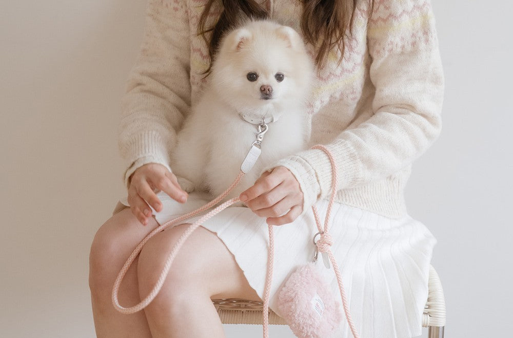 STROLL｜多頭飼いも快適な韓国発のハンズフリー・マルチリード