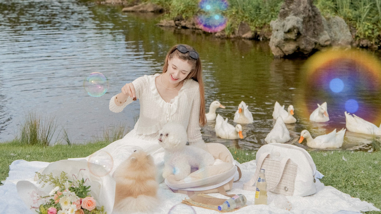 BABISYOUNG｜韓国発のおしゃれな犬用キャリーバッグ