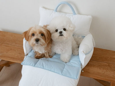 B.bed.de｜韓国発のおしゃれな犬用キャリーバッグ