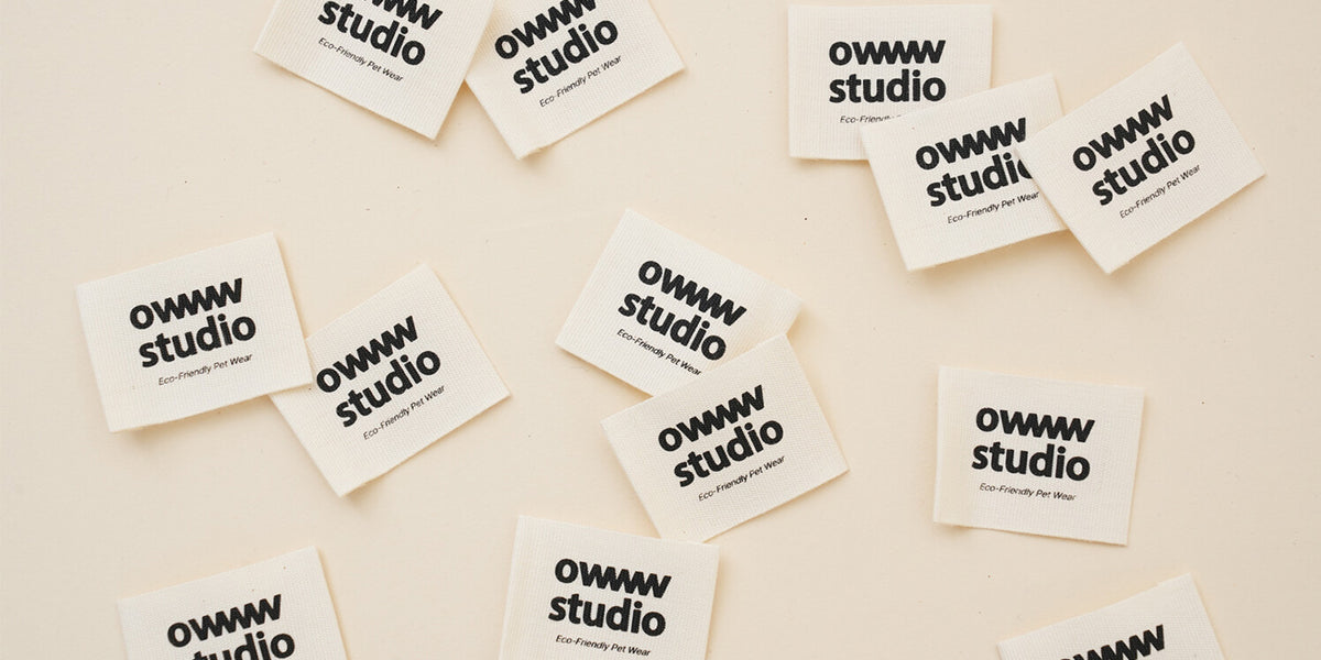 OWWW STUDIO