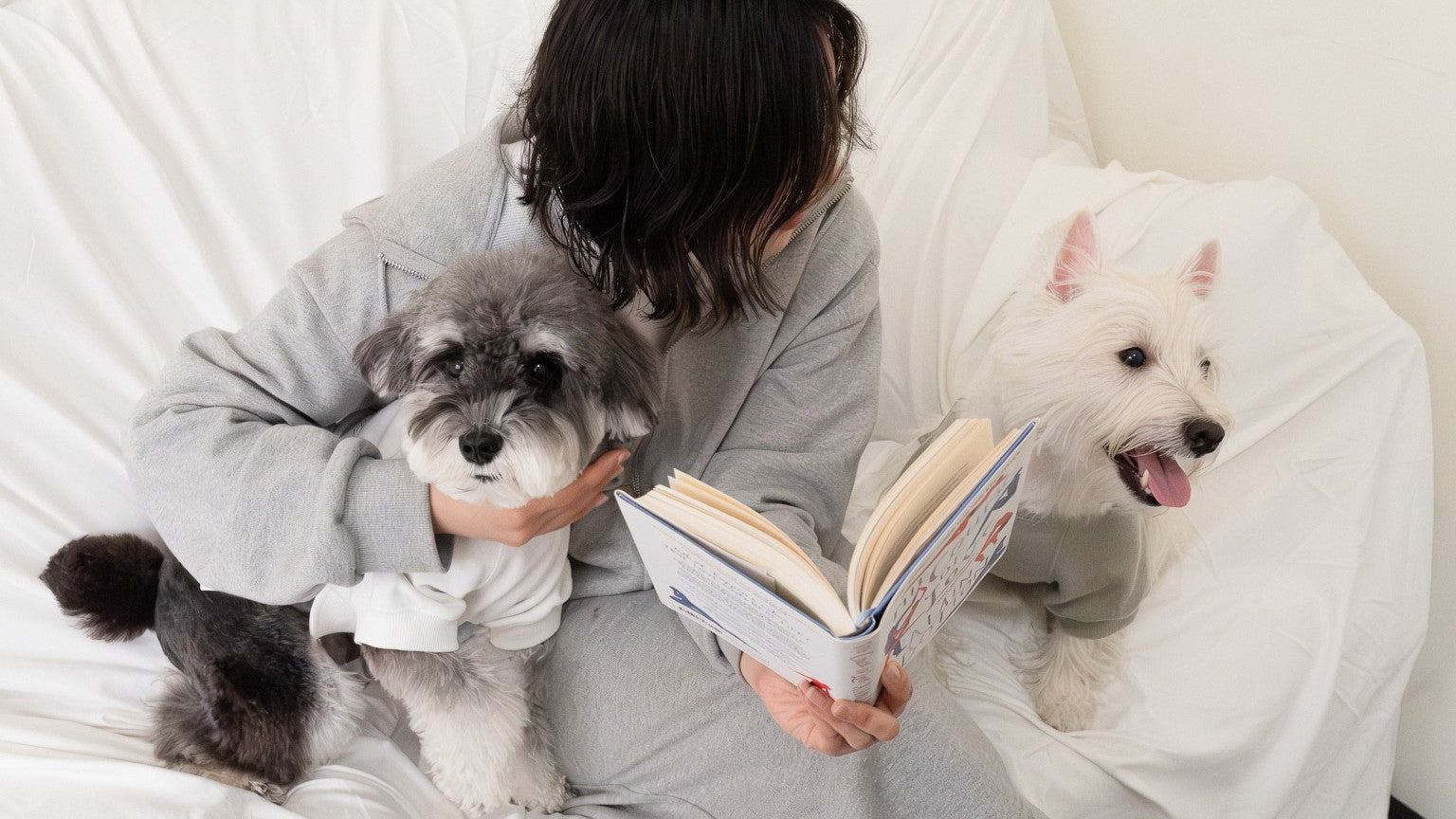 toutou barké｜｜韓国の人気犬服・ドッグウェア・犬用キャリーバッグ