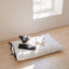 【予約】cozny cushion