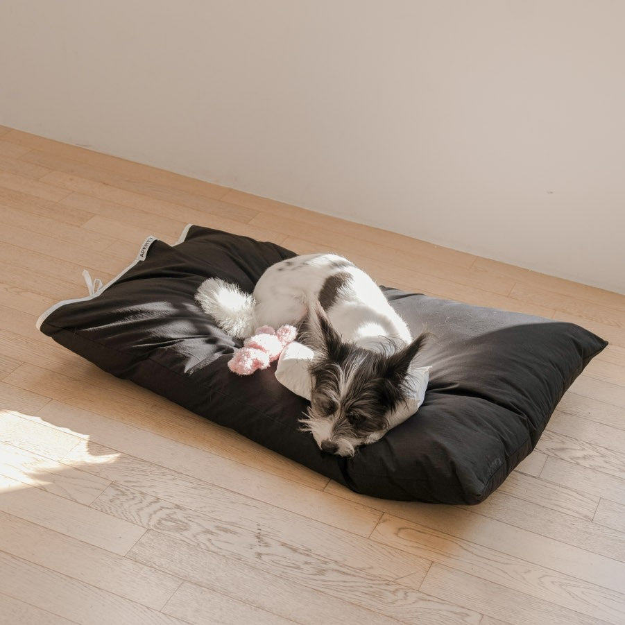 【予約】cozny cushion