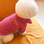 【予約】crayon half zip-up