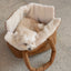 【予約】wide bag - teddy suede