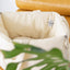 【予約】wide bag - ivory