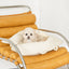 【予約】wide bag - ivory