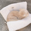 【予約】wide bag - teddy white