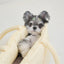 【予約】wide bag - yellow