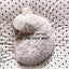 【予約】Dot Dot living - dot dot cushion