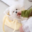 【予約】Frou Frou - Lemon edition（レモンブルーインナークッション＋ショルダーパット付属）｜犬用キャリーバッグ