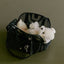【予約】Frou Frou