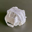 【予約】Frou Frou