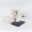 【予約】Mou Icepack Pouch