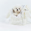 【予約】Mou Petbag