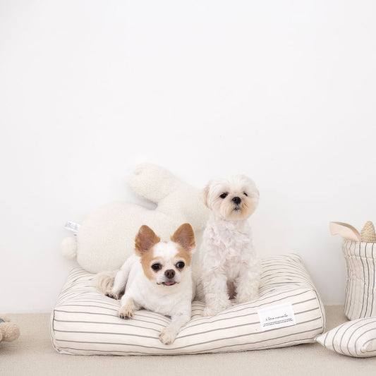 【予約】Partir living - partir cushion