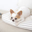 【予約】Partir living - partir cushion