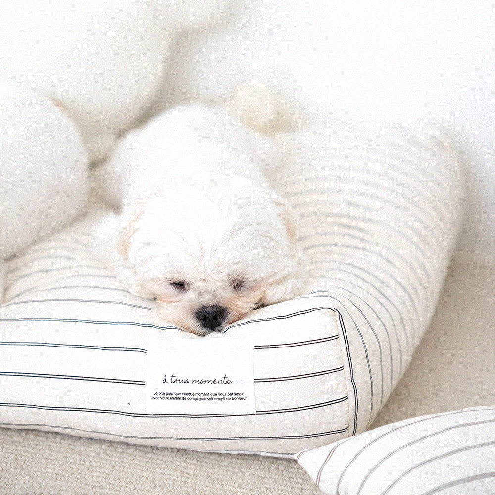 【予約】Partir living - partir cushion