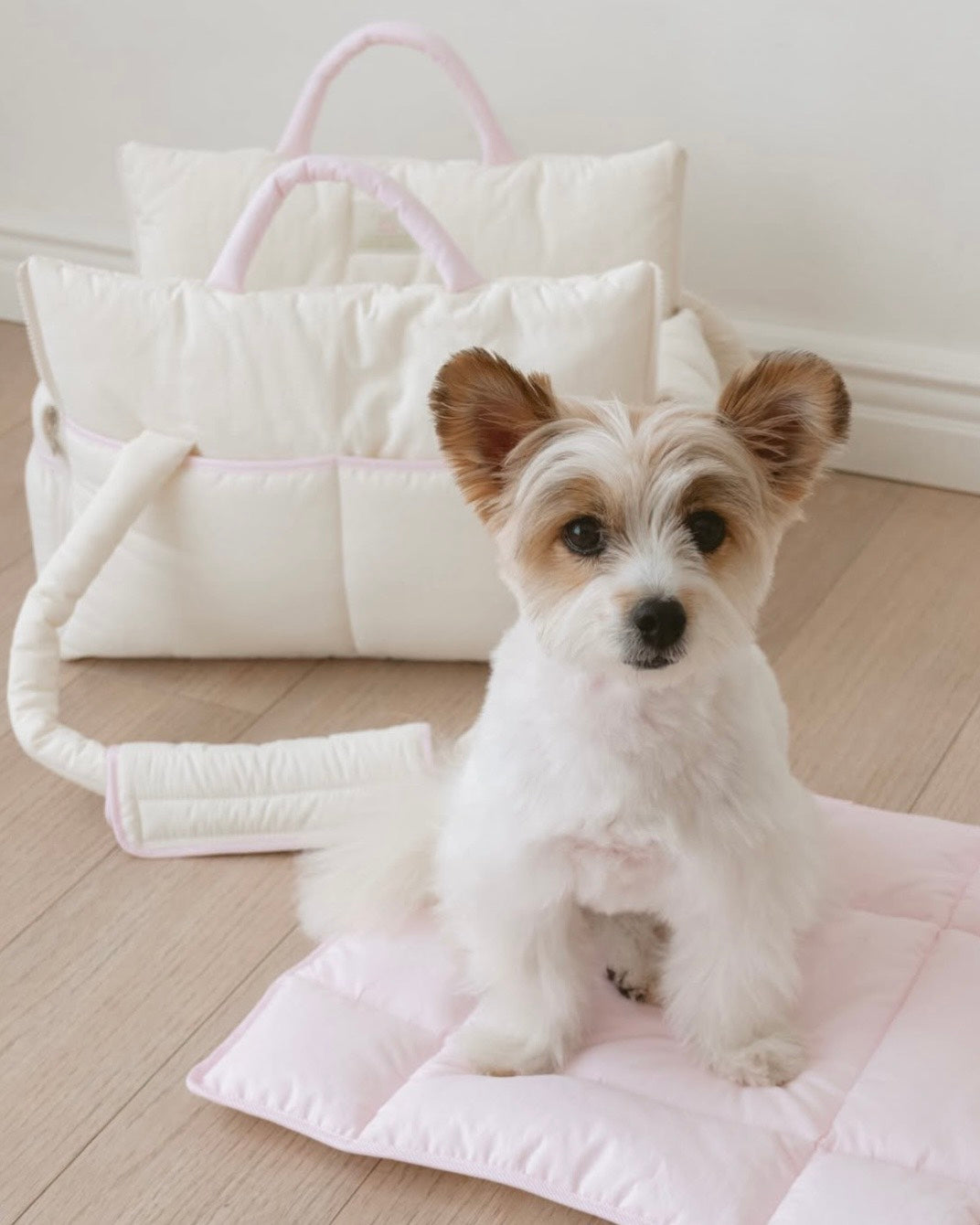 【予約】cuddle-bag｜犬用キャリーバッグ