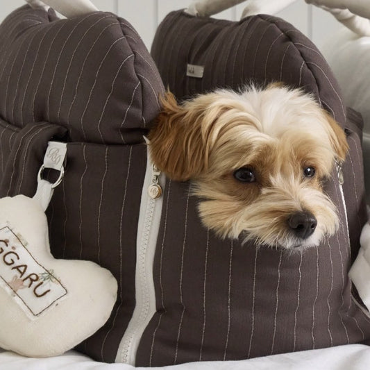 【予約】Cuddle bag - cocoa