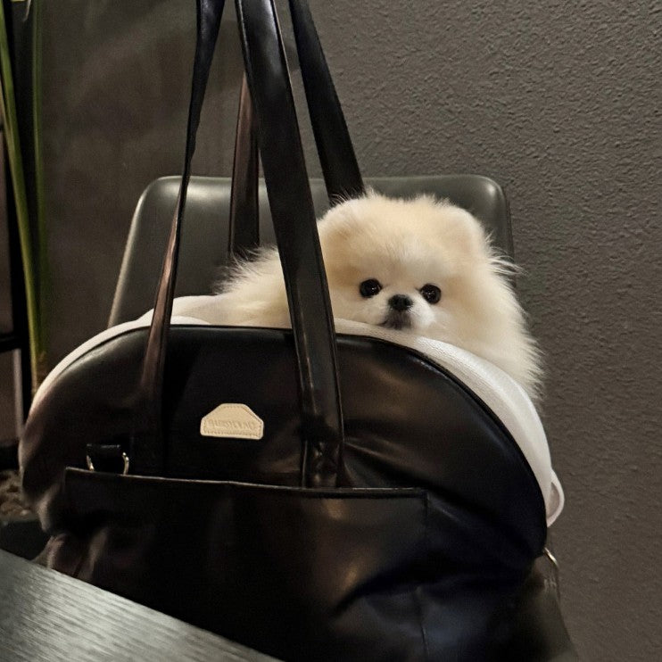 韓国発BABISYOUNG】Pogny Atto Bag ｜犬用キャリーバッグ｜PAW SELECT