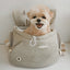 【予約】BABISYOUNG Front Bebe Bag